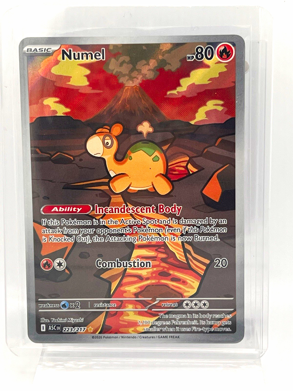 The Pokémon Company Numel 223/217 ascended Heroes IR Full Art Holo Eng