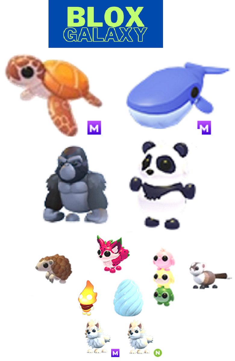 Endangered Egg - Sea Turtle - Blue Whale - Silverback Gorilla - Adopt your pets