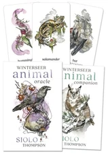 Winterseer Animal Oracle Cards Llewellyn New Sealed