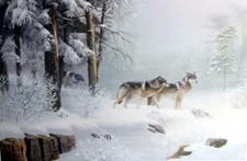 LEO STANS WOLF PRINT-Morning Solitude Art Print  29 X 19