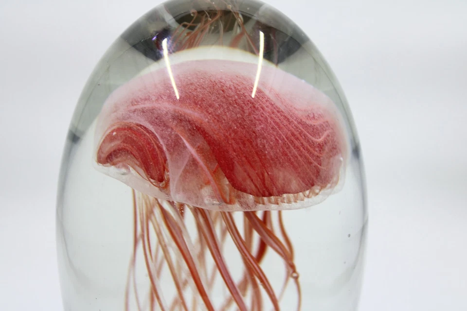 Pisapapeles de vidrio artístico Dynasty Gallery 6" estatuilla de medusa naranja de colección Foto 3 de 4