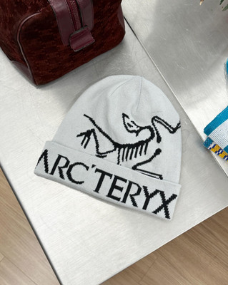Arc'teryx Bird Logo Beanie White Merino Wool Winter Ski Outdoor Hat NWT