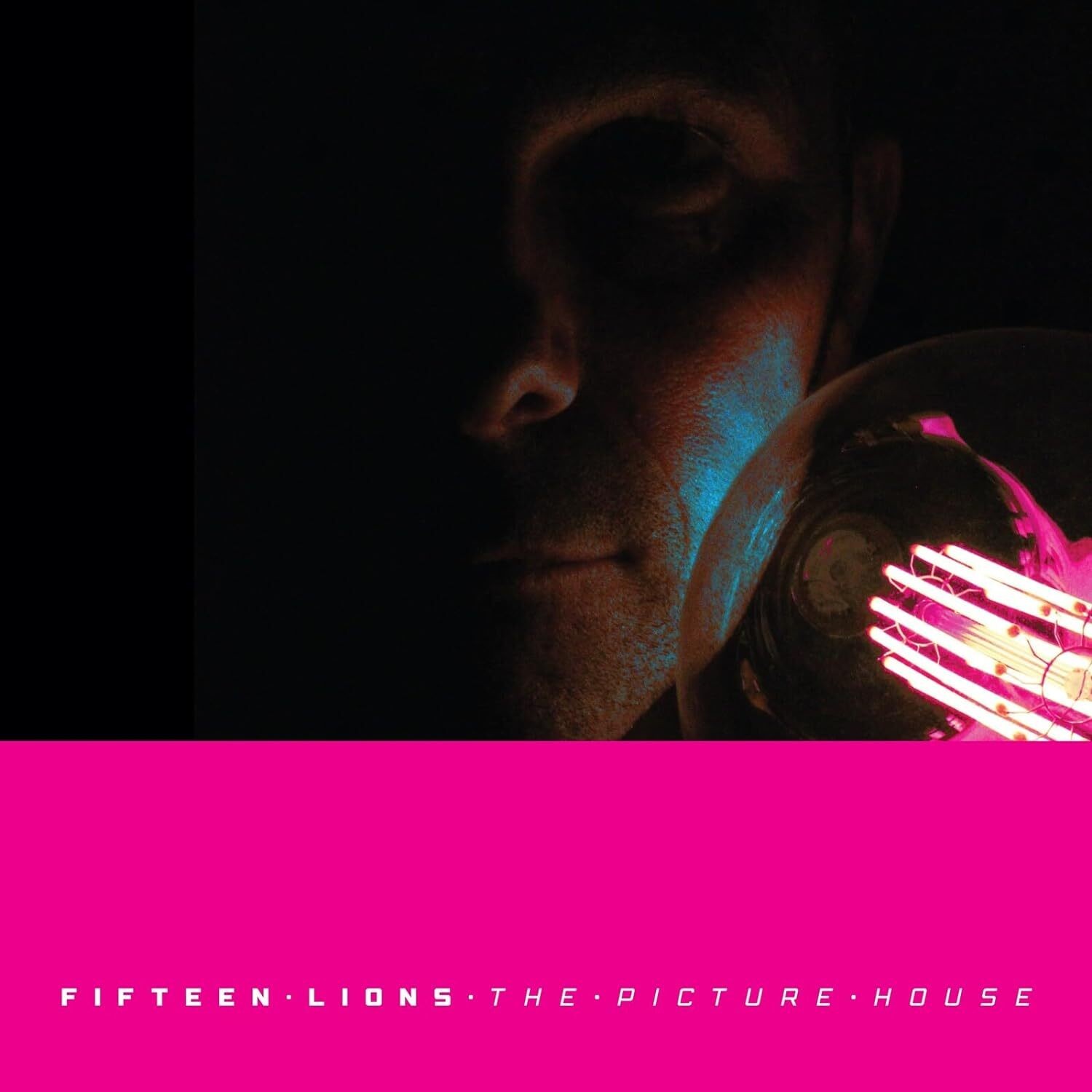 Fifteen Lions The Picture House (Vinyl LP) 12" Album