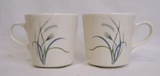 Pair of Corelle Coordinates Coastal Breeze Stoneware Mugs