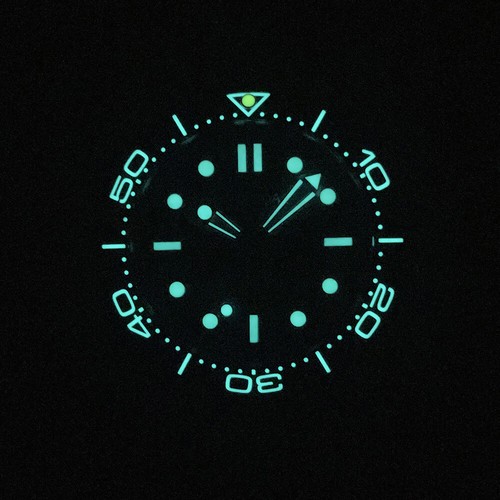 PHYLIDA Quadrante Blu NH38A Orologio Automatico SLN BGW9 Lume 200M Senza Data - Foto 6 di 8