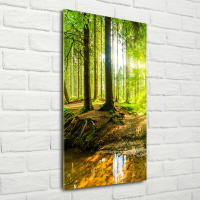 Wand-Bild Kunstdruck aus Hart-Glas Hochformat 70x140 Sonne im Wald