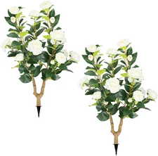 2 Packs 35.5" Artificial Camellia Tree, Faux White Camellia Flowers Plant with S