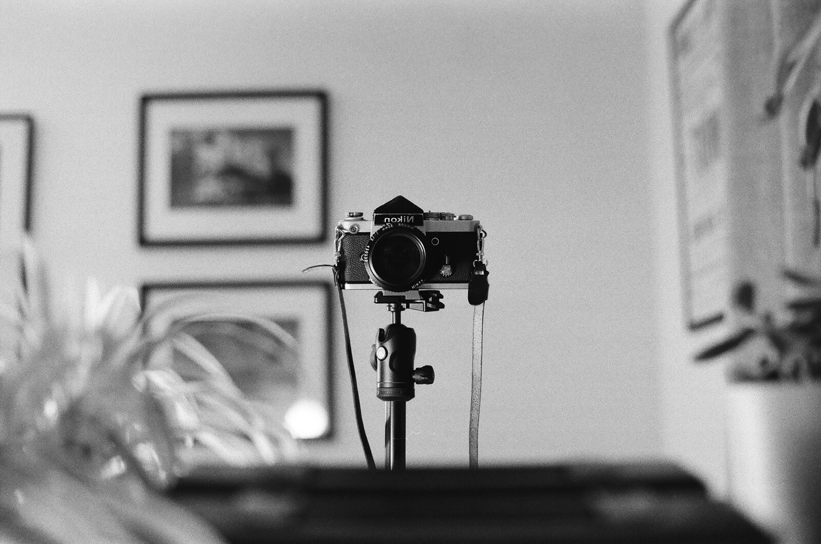 Nikon F2 Chrome camera body with Black DE1 Prism eBay