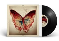 Joep Beving: Post (10'' Vinyl / 45Rpm) - - (Lp / P)