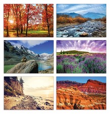 Greeting Cards 50 Pack 4x6 Blank Note Cards with Envelopes Assorted Set