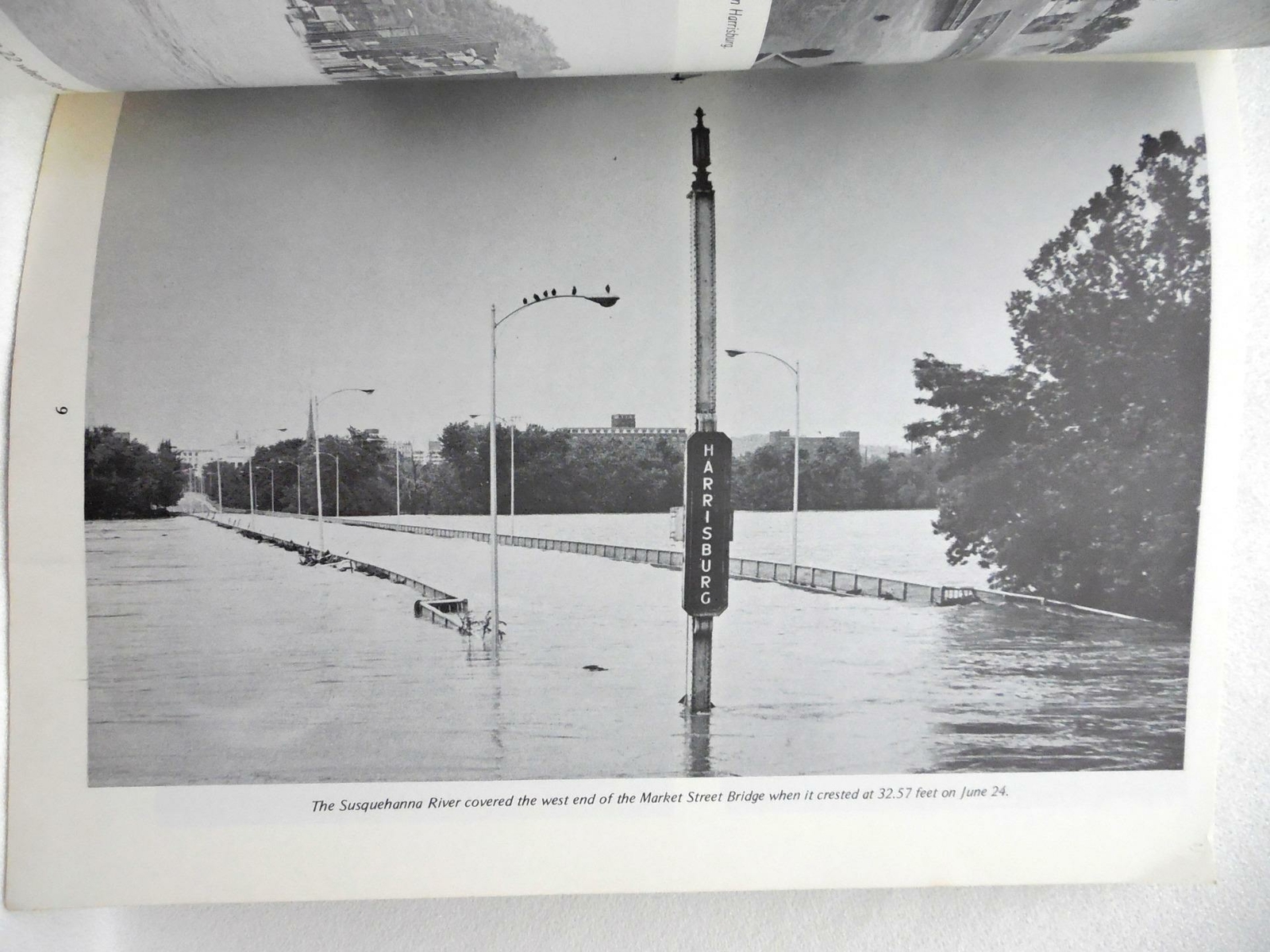 Picture 5 of 7