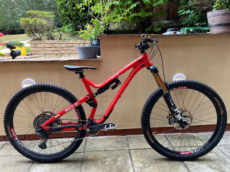 Commencal Meta AM 29 L  ⚠️**REDUCED* - Fox, Saints, Hope, DT Swiss - Enduro Bike