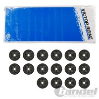 Reinz Ventilschaftdichtung Satz FüR Dodge Durango RAM Jeep Commander Grand