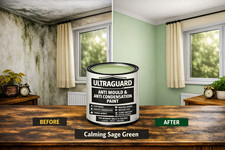 Damp Proof Anti Mould Paint Interior Anti Condensation Wall Ceiling Matt Paint