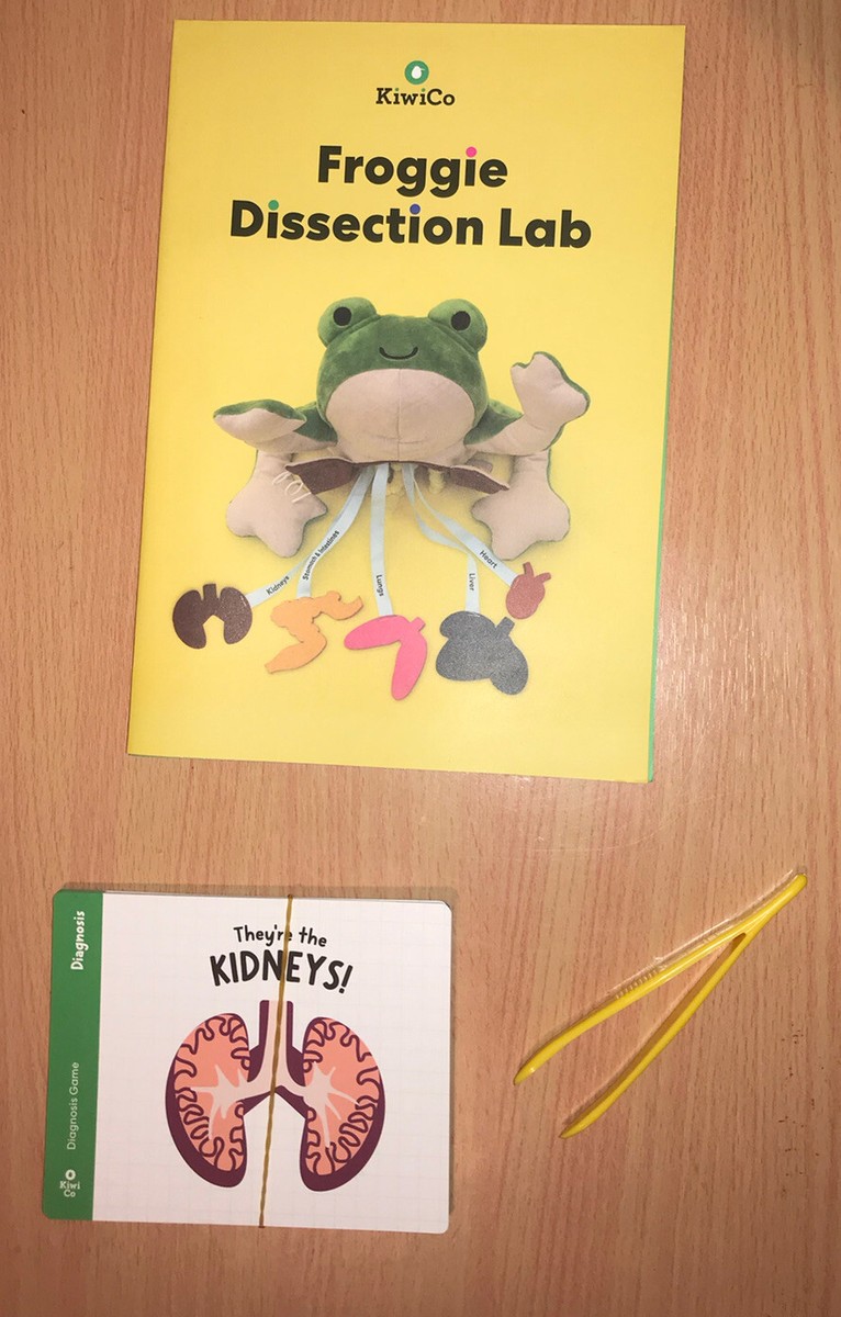 Kiwi Crate KiwiCo Froggie Lab Dissection Plush Toy - Educational ...