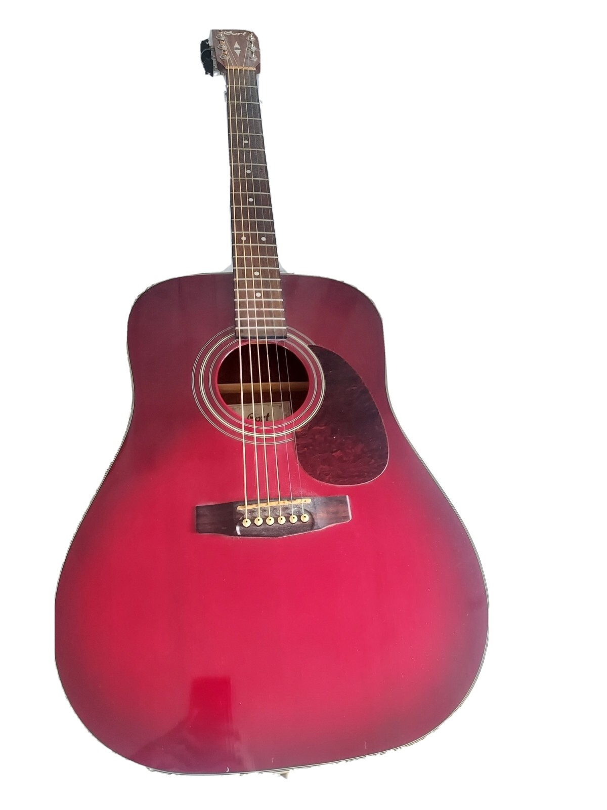 Cort Earth Guitar 70