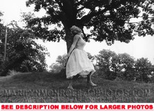 MARILYN MONROE SUNDRESS IN THE SUMMER 1xRARE8x10 PHOTO