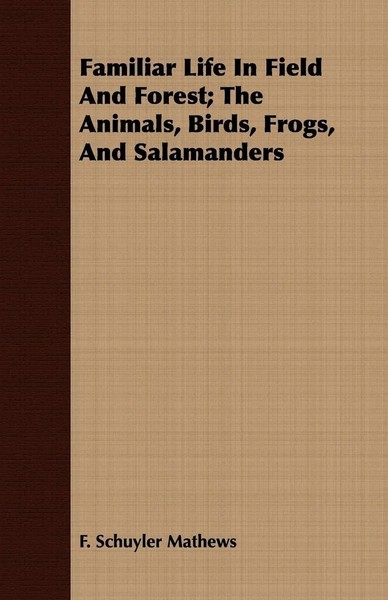 F. Schuyler Mathews | Familiar Life In Field And Forest; The Animals, Birds,...-image