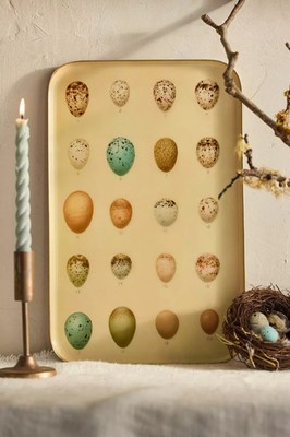 Anthropologie Terrain Printed Archival Tray Handmade Enamel Large Eggs