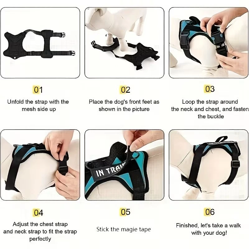 Dog harness
