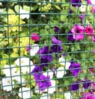 Bild 12 von 12