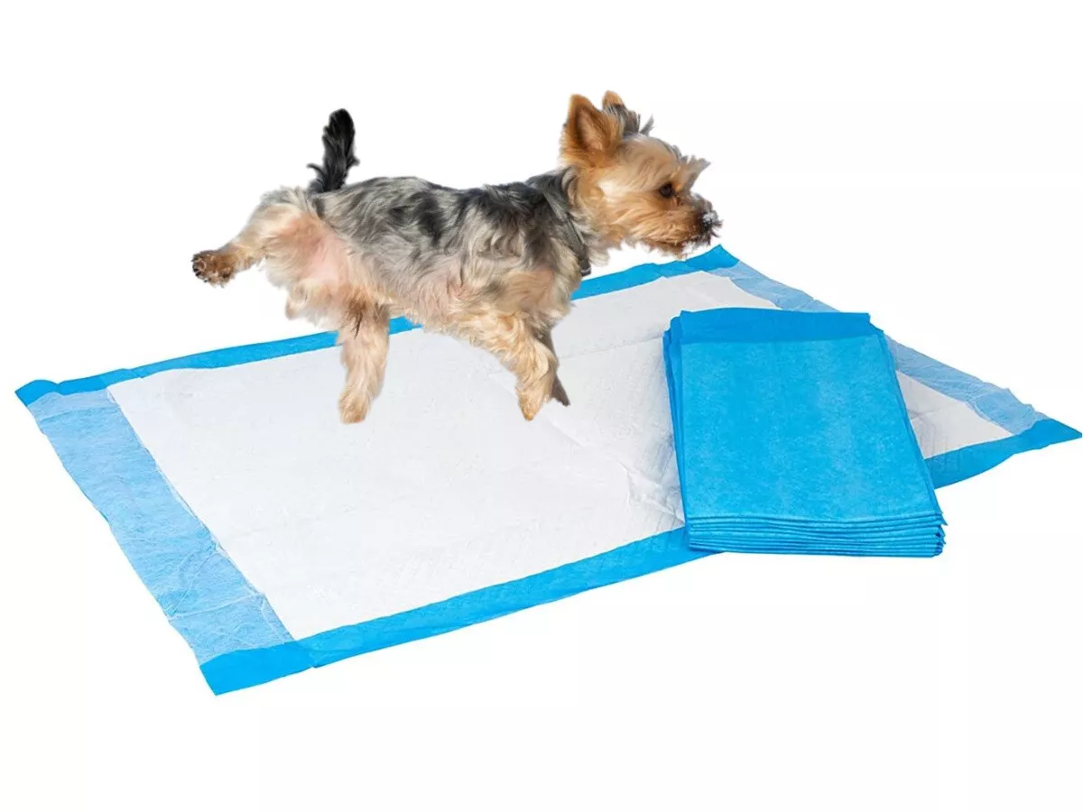 Ebay clearance puppy pads