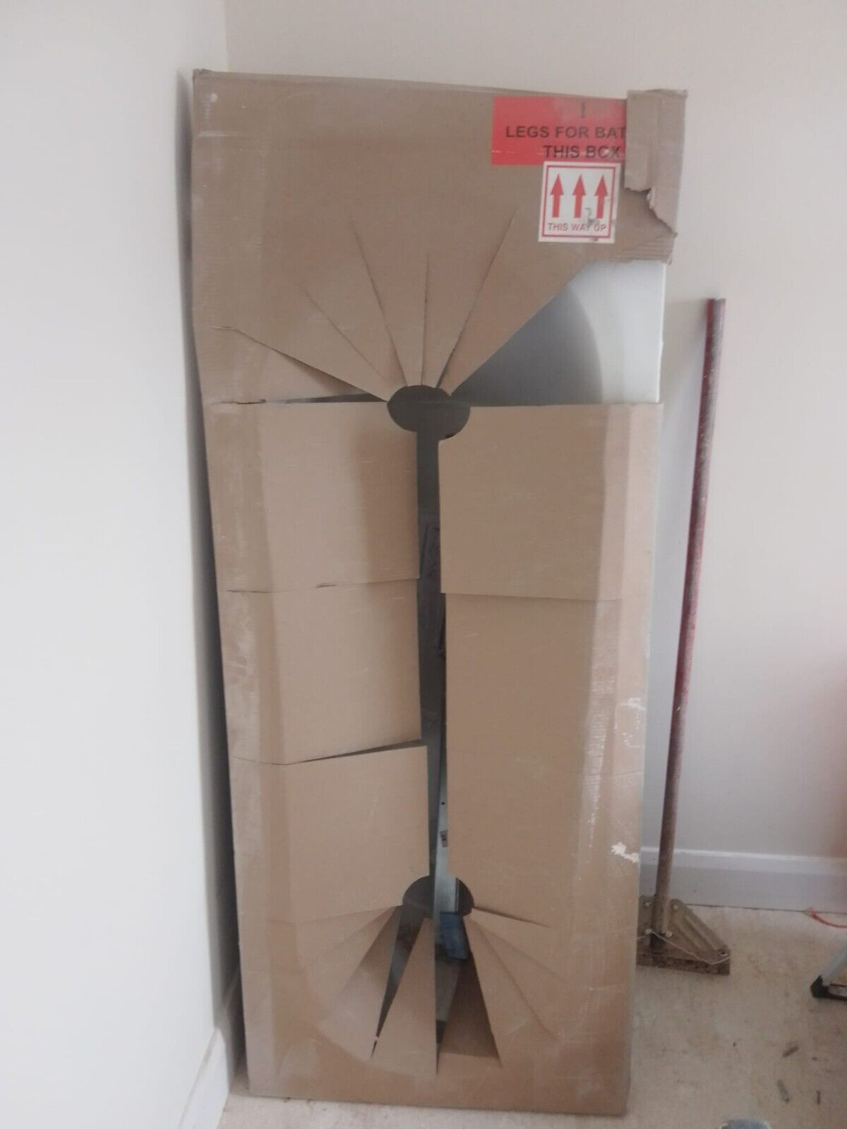 Picture 6 of 6