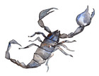 4 x car sticker sticker Scorpion animal tuning car rear window 9 x 9 cm
