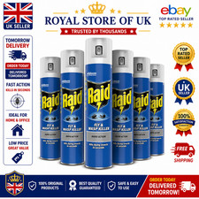 Raid Fly and Wasp Killer 300 Ml (Pack of 6)