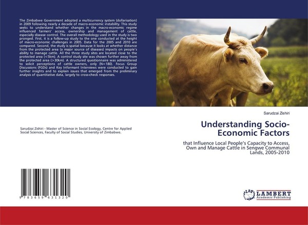 Understanding Socio-Economic Factors Sarudzai Zishiri-image