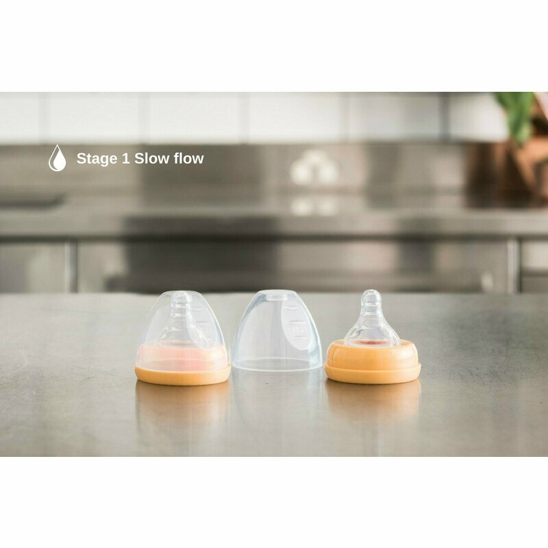 lifefactory replacement ring