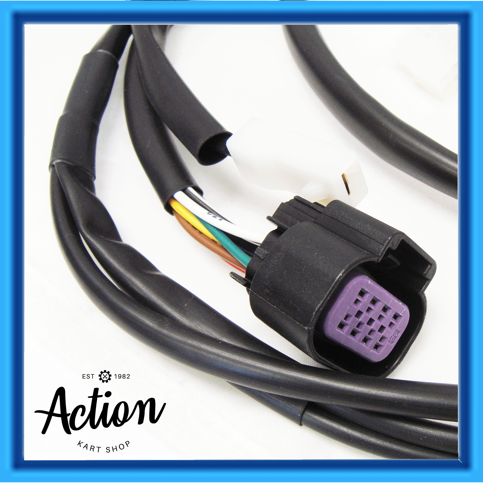 GO KART IAME X30 & RL LEOPARD WIRING HARNESS LOOM KEY START TYPE 2015