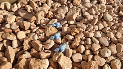 Strike King Baby Squadron Swimbait Jig Head Blue Glimmer 8,8g BSSH516-45 Jigkopf
