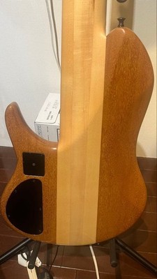 Phoenix PHS-6 SC Buckeye Burl Electric Bass Guitar | eBay