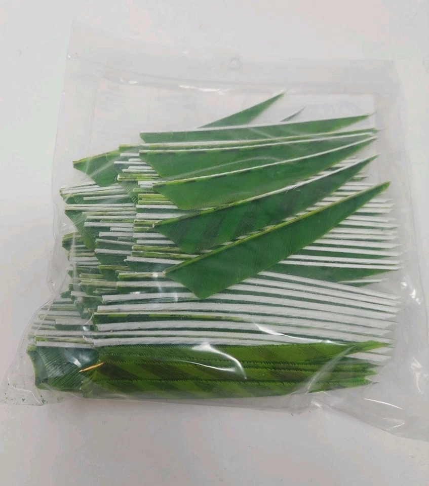 100 Pack Gateway Feathers 4" Right Wing: Shield Barred Chartreuse 400RSBCH - Image 3 of 3