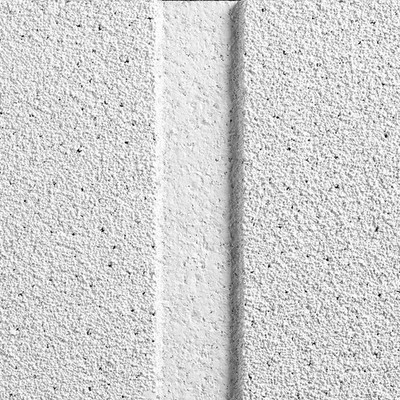 ARMSTRONG 2722A Ceiling Tile,48 in L,24 in W,PK10 32WM08