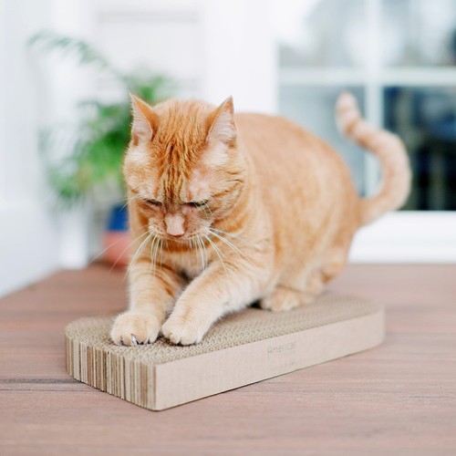 Brown cardboard cat scratcher with textured surface, 17 x 10 x 1.5 inches, made in USA.