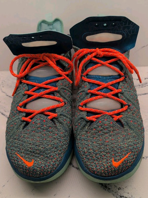 Mens Nike Lebron 18 We Are Family Green Crimson Basketball CQ9283-300 Size 11.5