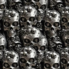 Silver Skulls 41 - 18"x46" Hydrographic Film Hydro Dipping