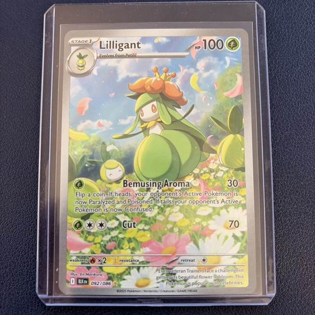 Lilligant 092/086 Sv: Black Bolt Holo Pokemon TCG English
