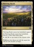 X 1 Thriving Heath NM-M 363 LCC Lost Caverns of Ixalan MTG Magic the Gathering