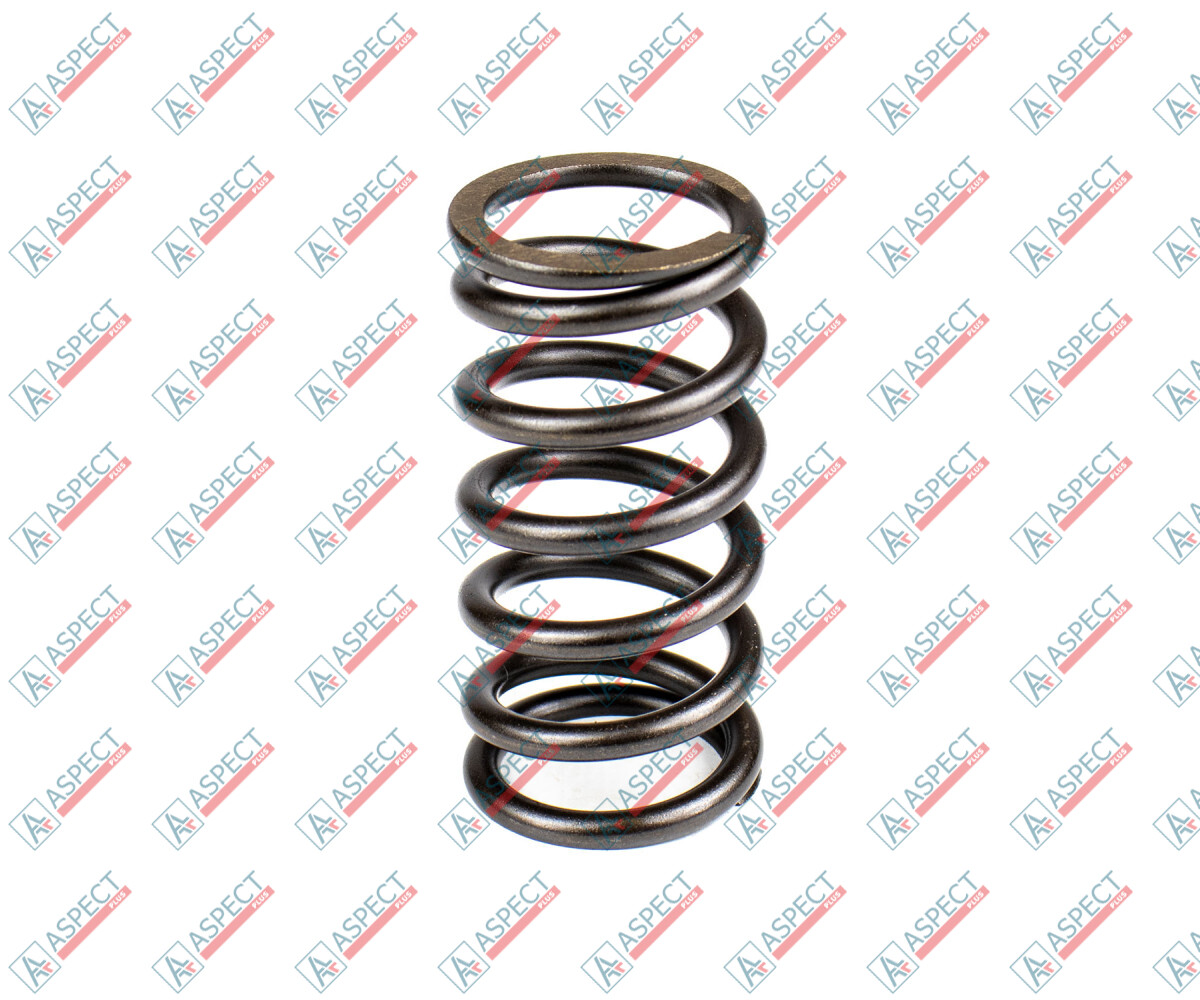 Bosch Rexroth A10VNO41, A10VNO44, A10VNO45 Spring of Rotor R902408916