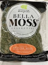 Bella 141310070 Preserved Spanish Moss, Green 480 Cu Inches