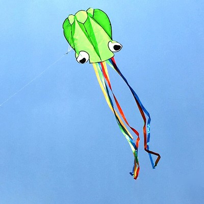 Octopus Kite 4M Kinder Drachen im Freien mit Griff Linie fliegende Spielzeug
