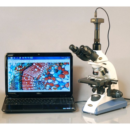 AmScope 40X-2000X Doctor Veterinary Trinocular Biological Compound Microscope - Picture 6 of 8