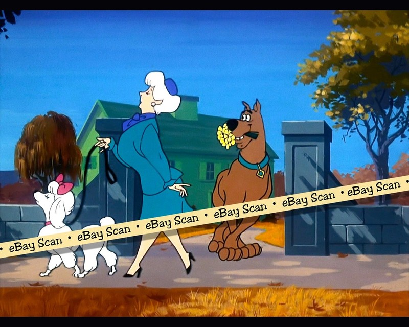 Rare! SCOOBY DOO WHERE ARE YOU! Cartoon Color TV Photo HANNA BARBERA Studios