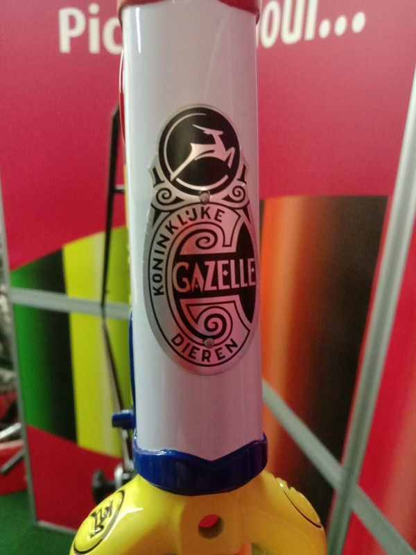 Gazelle TVM Mondial Frameset.