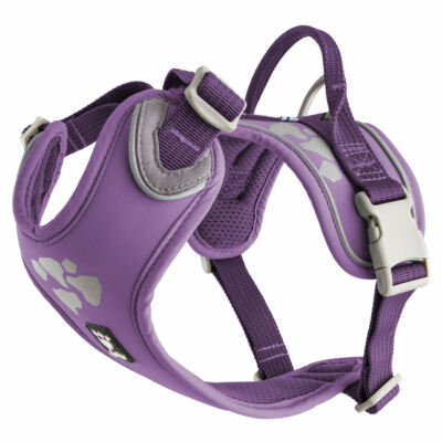 Hurtta Weekend Warrior Geschirr violett für aktive Hunde, robust & verstellbar