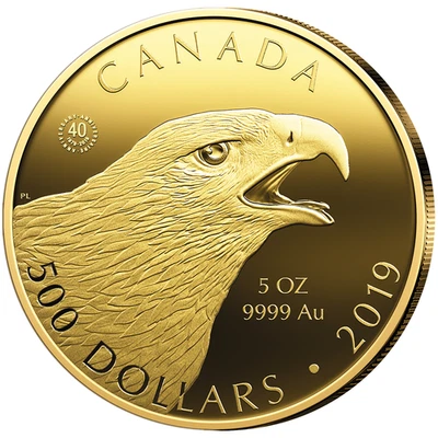 Goldmünze Steinadler Greifvögel (4.) 2019 - Kanada - im Etui - 5 Oz PP - Bild 1 von 4