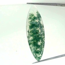 16.00Cts Natural Moss Agate Marquise Cabochon loose Gemstone